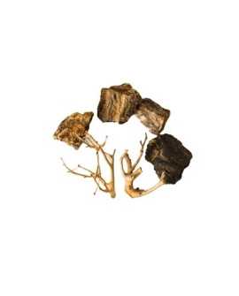 ROCHES + RACINES WOOD FOSSIL (4/6pc - 2pc)  SCALARE